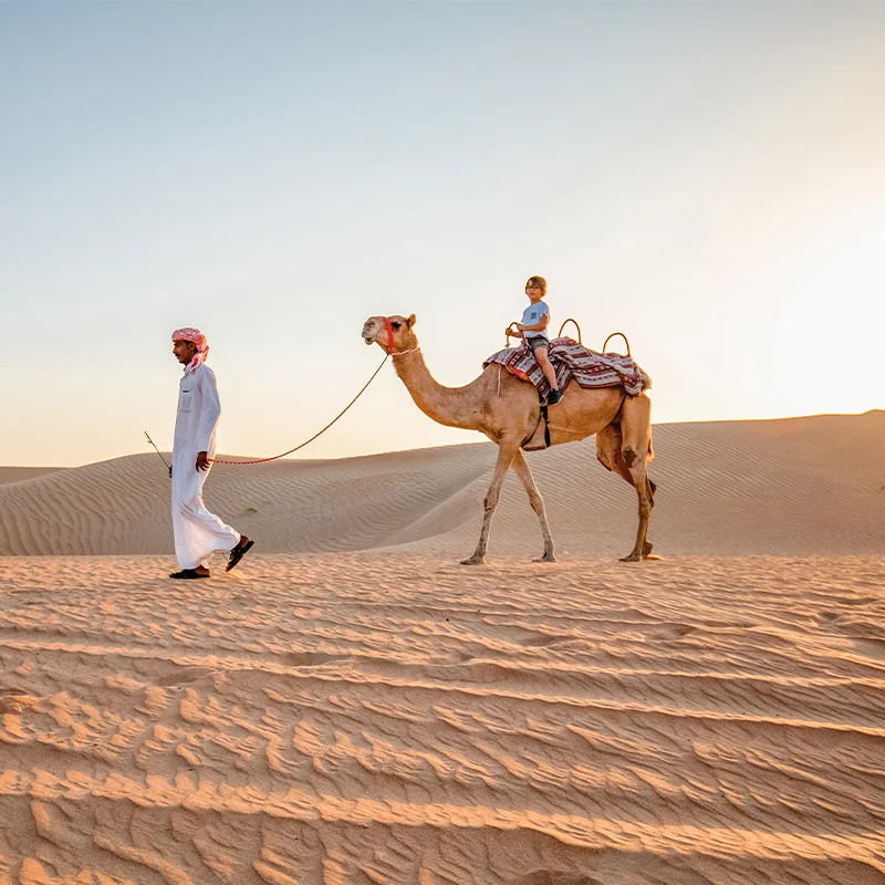 dubai desert safari luxury